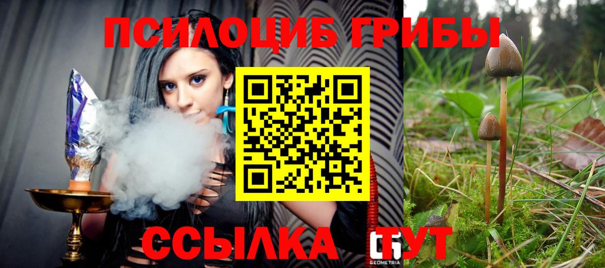 Белгород  Псилоцибиновые грибы Magic Shrooms  Вход с VPN 